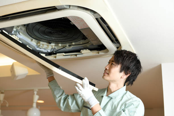 Best Air Duct Mold Removal  in Flomaton, AL